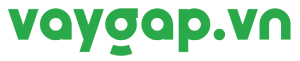 vaygap-logo